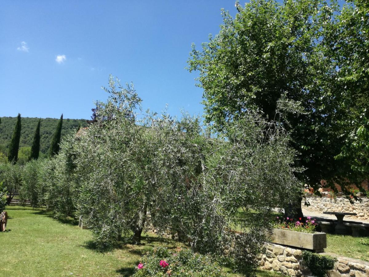 Borgo Di Barigianino Aparthotel Sovicille Bagian luar foto
